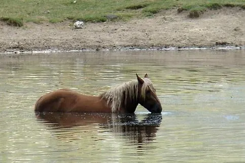 Monteviste Bed & Breakfast *